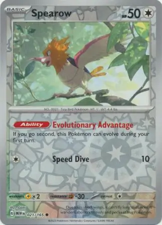 Spearow