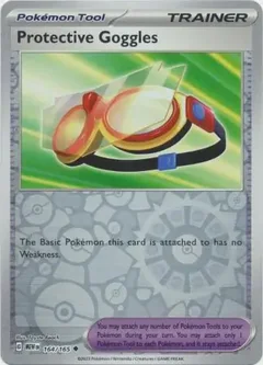 Protective Goggles