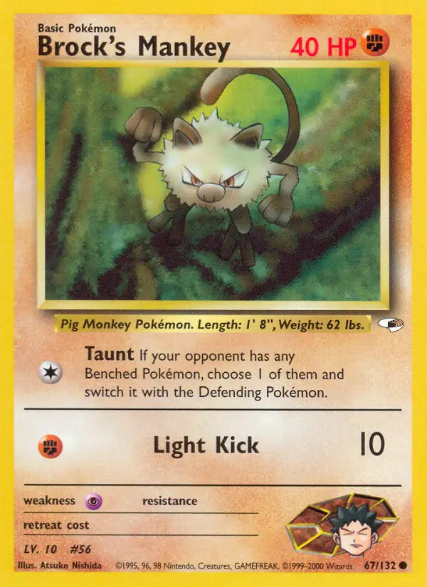 Brock's Mankey (lv 10)