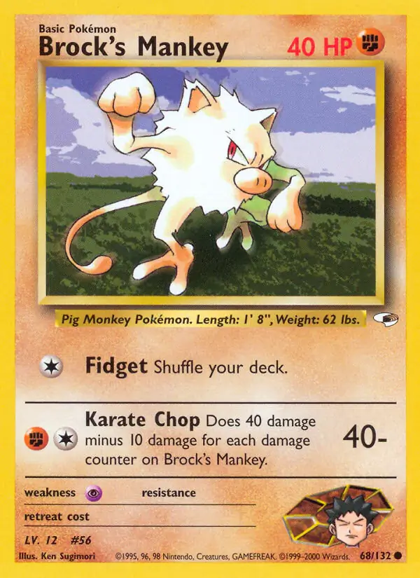 Brock's Mankey (lv 12)